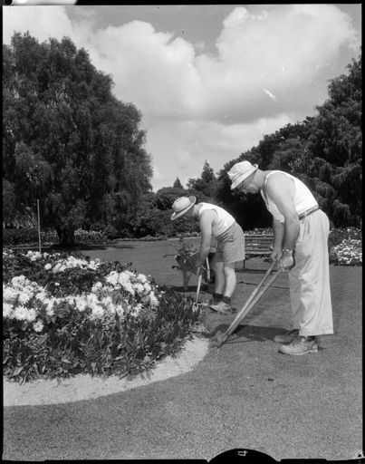 "Keeping Up High Standard" Esplanade Gardens - Resource cover image