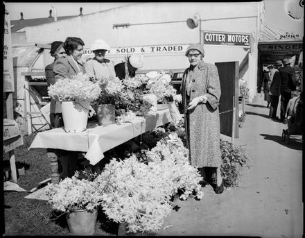 "Flowers to Benefit the Babies" Plunket Society