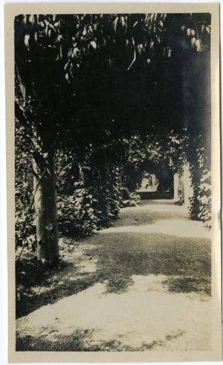 Andrews Collection: Lover's Lane, Victoria Esplanade