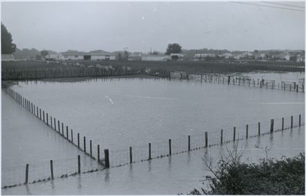 DSIR Grasslands Division under Flood - Resource cover image