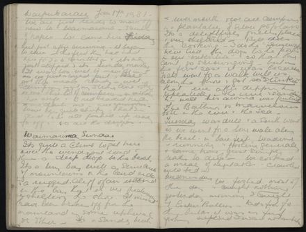 Ann Jacques Diary - 100