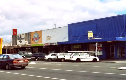 Businesses on Fitzherbert Avenue - Resource cover image