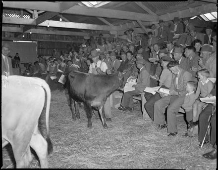 "Who Was That Bidding For Me?" Stock Auction - Resource cover image