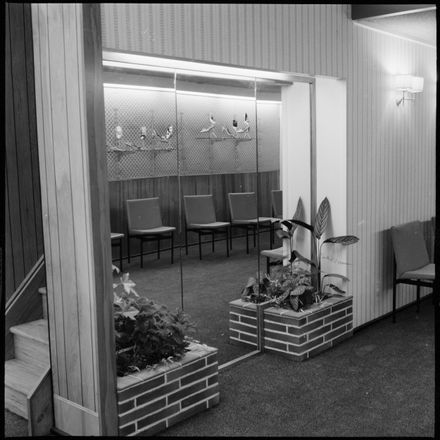 Millar & Giorgi's Women's Shoe Department