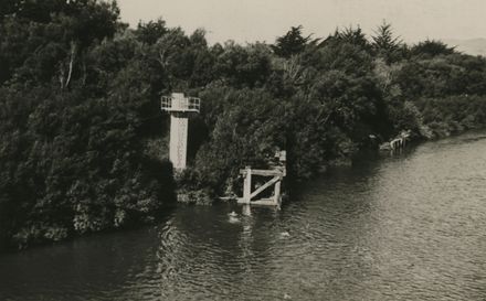 Swimming in the Manawatu River