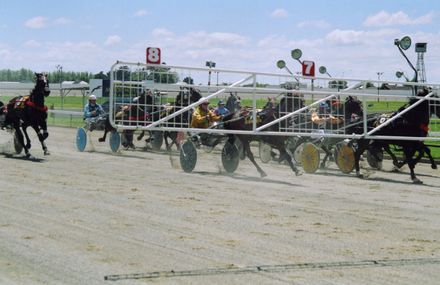 Harness racing at the Manawatū Raceway