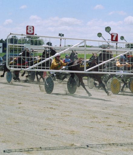 Harness racing at the Manawatū Raceway