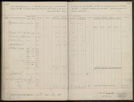 Palmerston North Rate Book, 1893 - 1896, 317