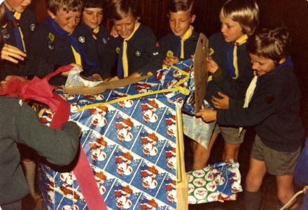 Roslyn Cub pack Breakup