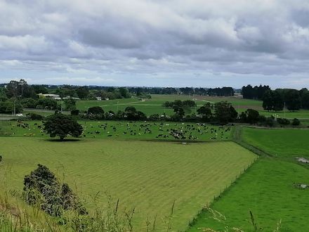View from Te Motu o Poutoa