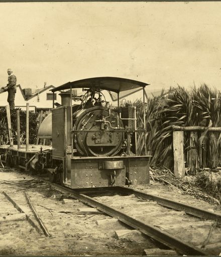 Locomotive at Miranui Flaxmill, near Shannon