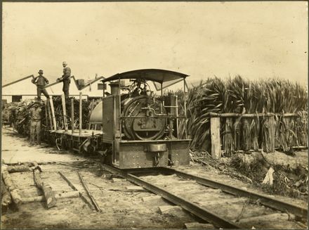 Locomotive at Miranui Flaxmill, near Shannon