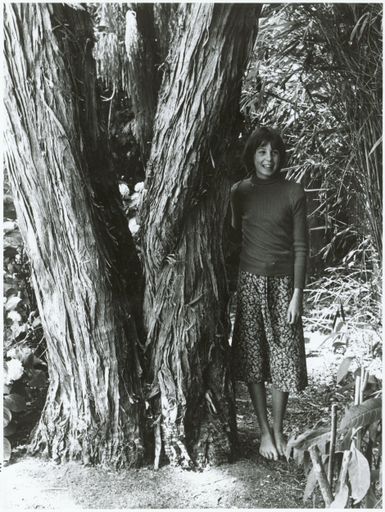 Double-Leadered White Tea Tree, 82 Te Awe Awe Street - Resource cover image