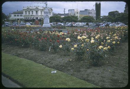 Flower Beds in The Square, Palmerston North