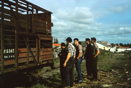Railways Staff and Sheep Wagon