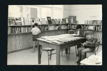The New Library, Aokautere School