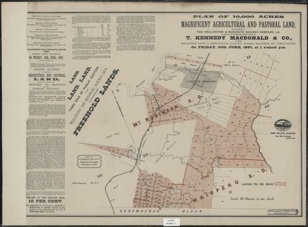 Plan of land for sale near Shannon