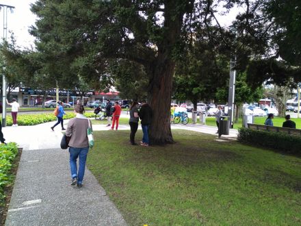 Pokémon Go players in The Square