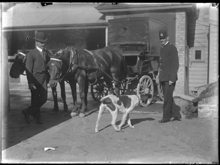 Men and Dog beside Carriage