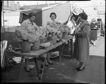 "Daffodils Plentiful on Stall" Plunket Fundraiser