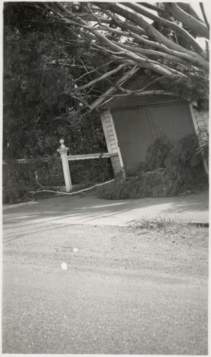 Scenes from Palmeston North, c1936 6