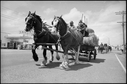 Sanson Centenary Procession: Farmers on Horse Drawn Hay Wagon