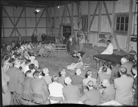 "The Rotary Club learn about sheep"