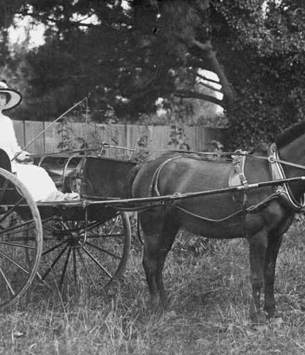 Miss Grant in horse and buggy