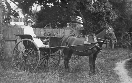 Miss Grant in horse and buggy