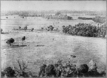 'Willowbank' farm, Fitzherbert