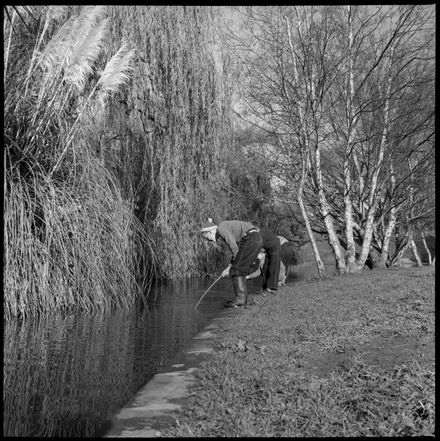 "Hunting for the Elusive Ice" at Memorial Park Duck Pond