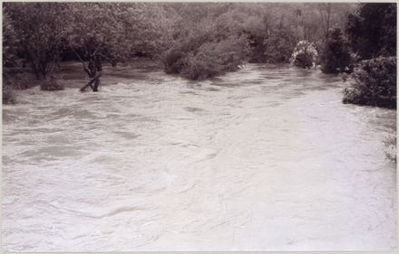 Flooding at the Esplanade Gardens