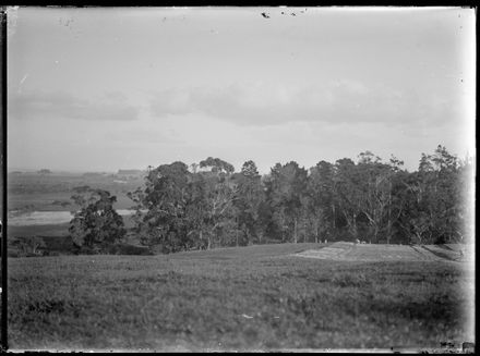 View of W J Young's Farm