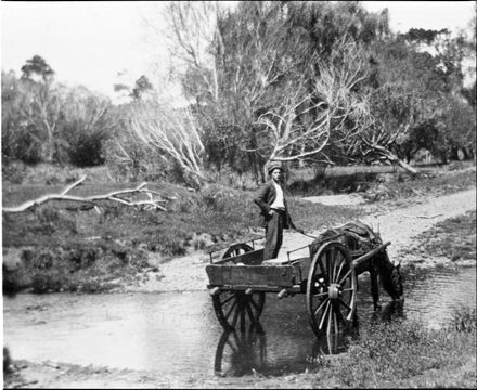 A dray fording the Tutaenui Stream, near Bulls