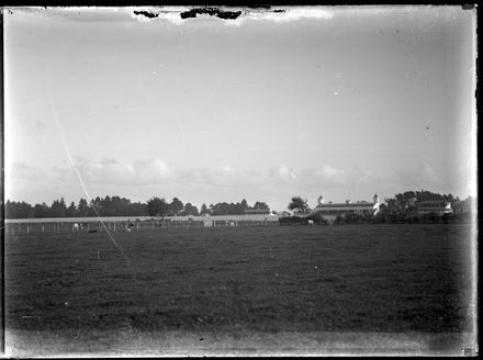 Horse Jumping Display,  Ellerslie Racecourse,  Auckland