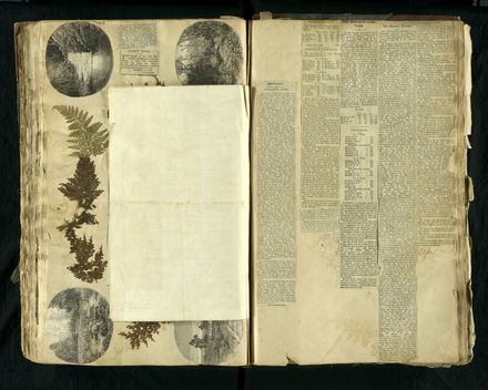 Louisa Snelson's Scrapbook - Page 92
