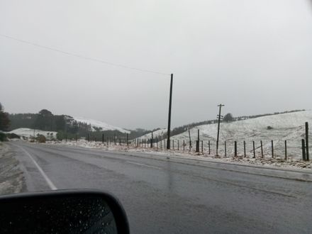 Snow on the Pahiatua Track