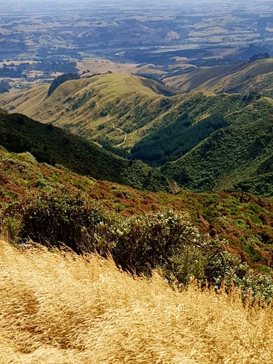 Wharite Peak