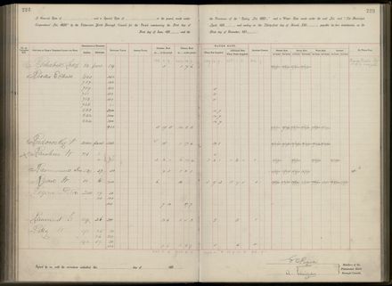 Palmerston North Rate Book, 1893 - 1896, 228