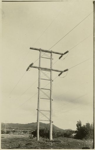 Pole on the Mangahao Power Line - Resource cover image