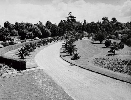 Palm Drive – Victoria Esplanade