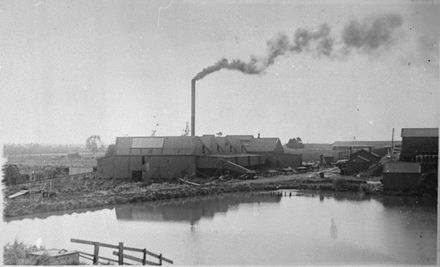 Miranui Flaxmill, near Shannon