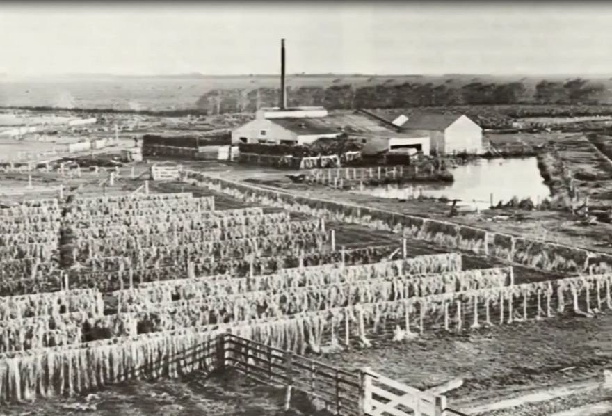 Home movie - History of Opiki - Resource cover image