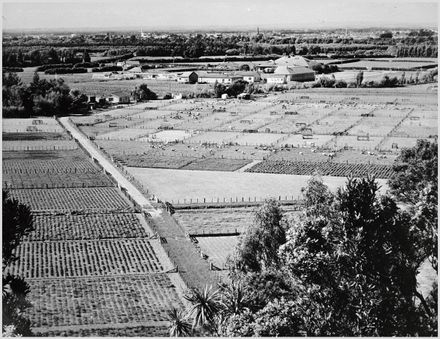 Grasslands, Department of Scientific and Industrial Research, Palmerston North