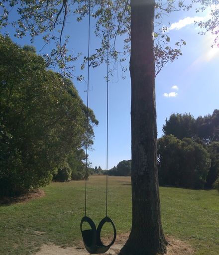 One Tree Swing