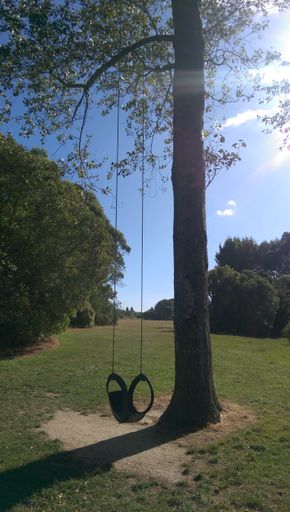 One Tree Swing