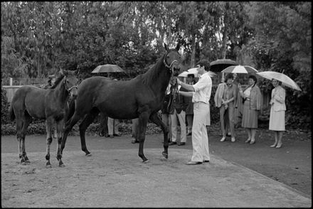 “Jimmy's a charmer” - Resource cover image