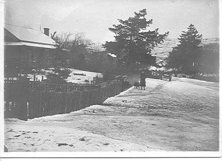 MacDonald, Flora (nee McDonald)