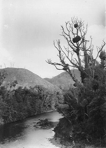 Ohau River at Gladstone Reserve