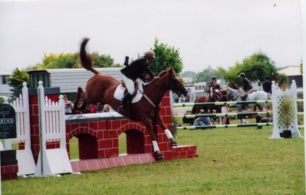 Horowhenua A P& I Show, 2002